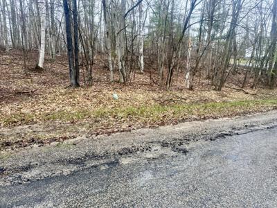 Lot 1618 Pheasant Run