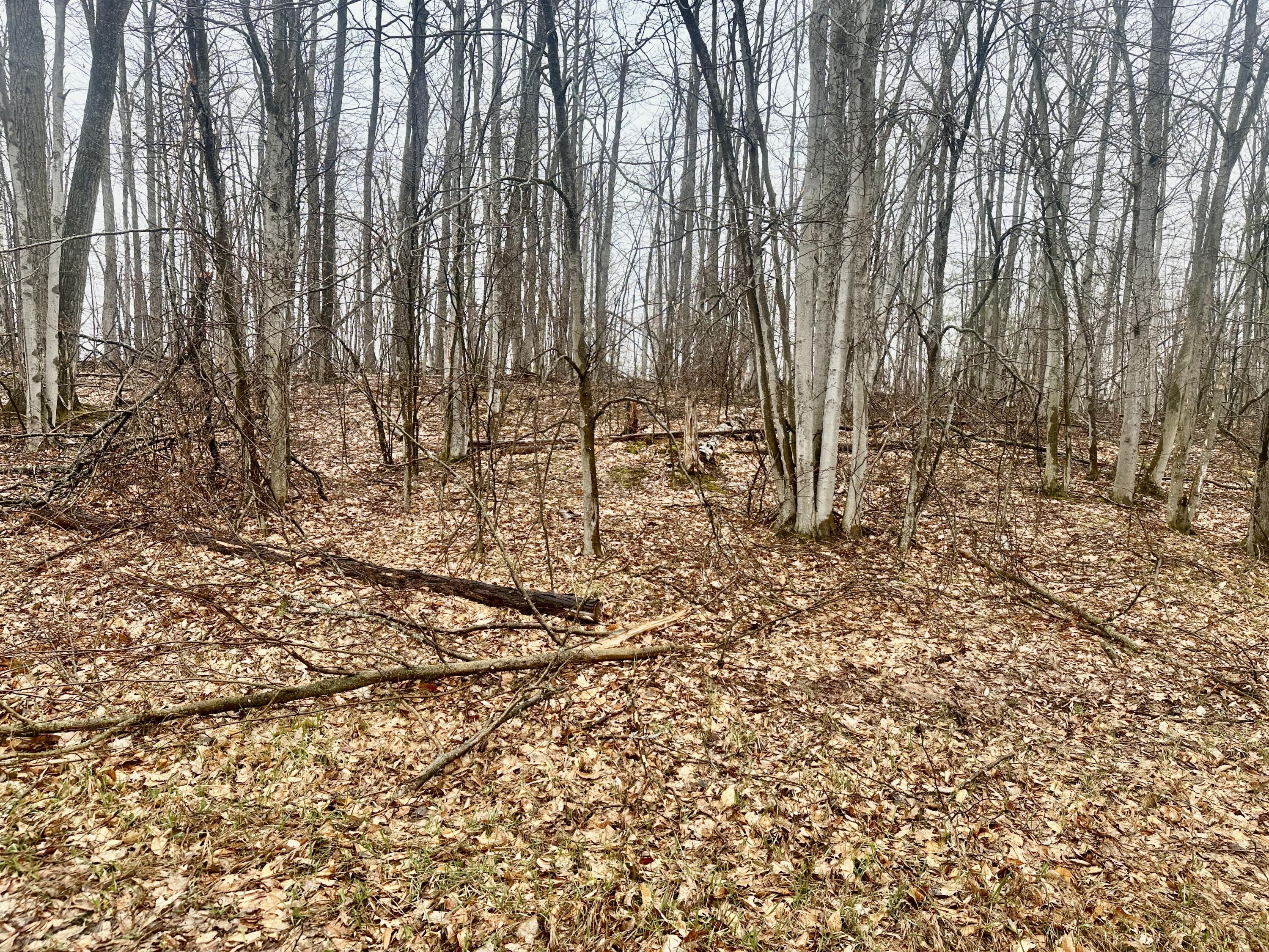 Image 3: 2