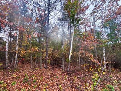 Lot292&293 Pineview Drive