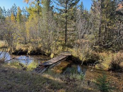 V/L 5.79A Long Shaw Trail