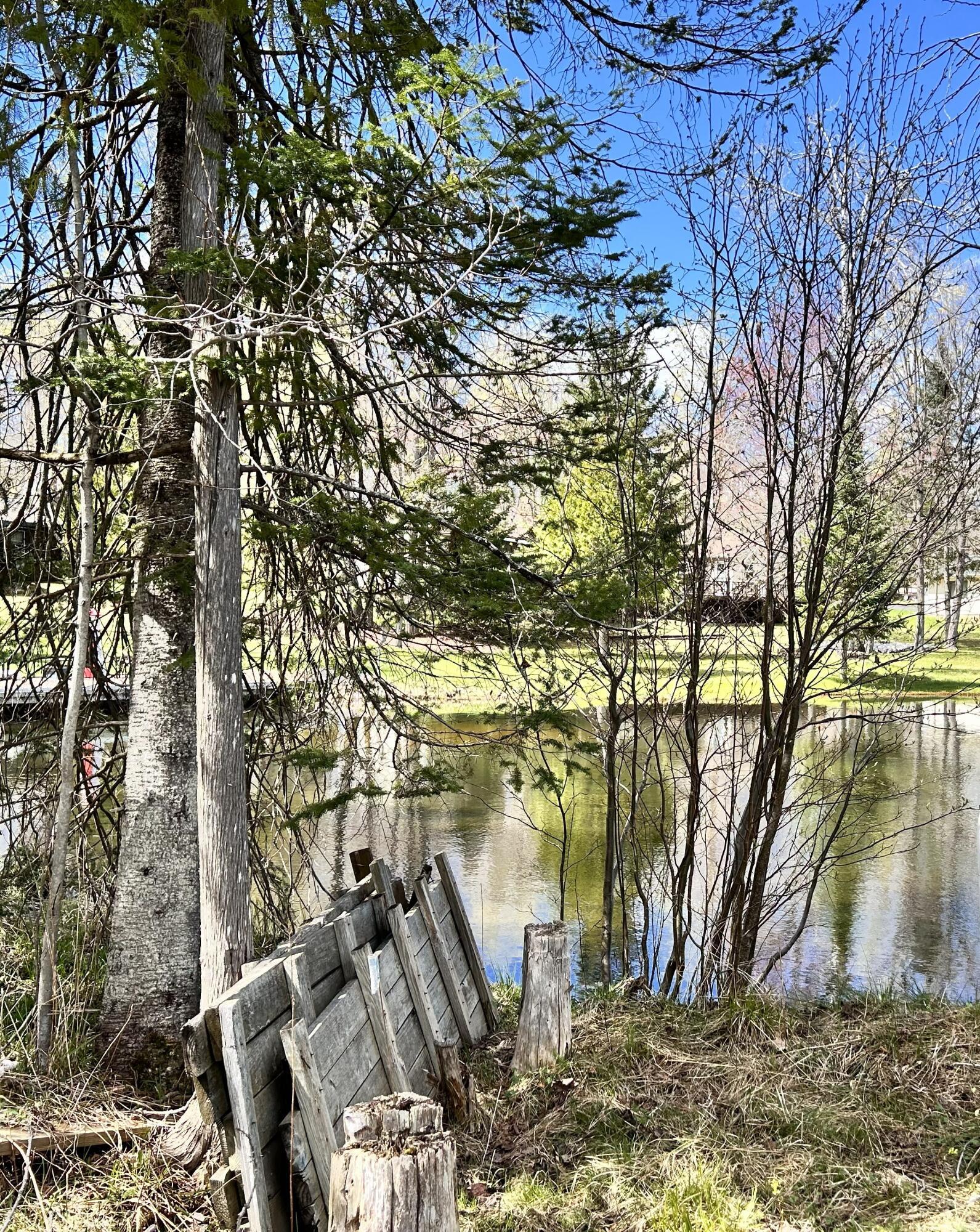 Image 4: Dock