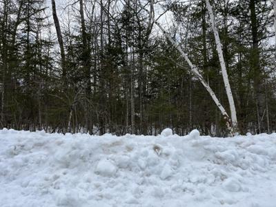 Lot 233 Timberway Court