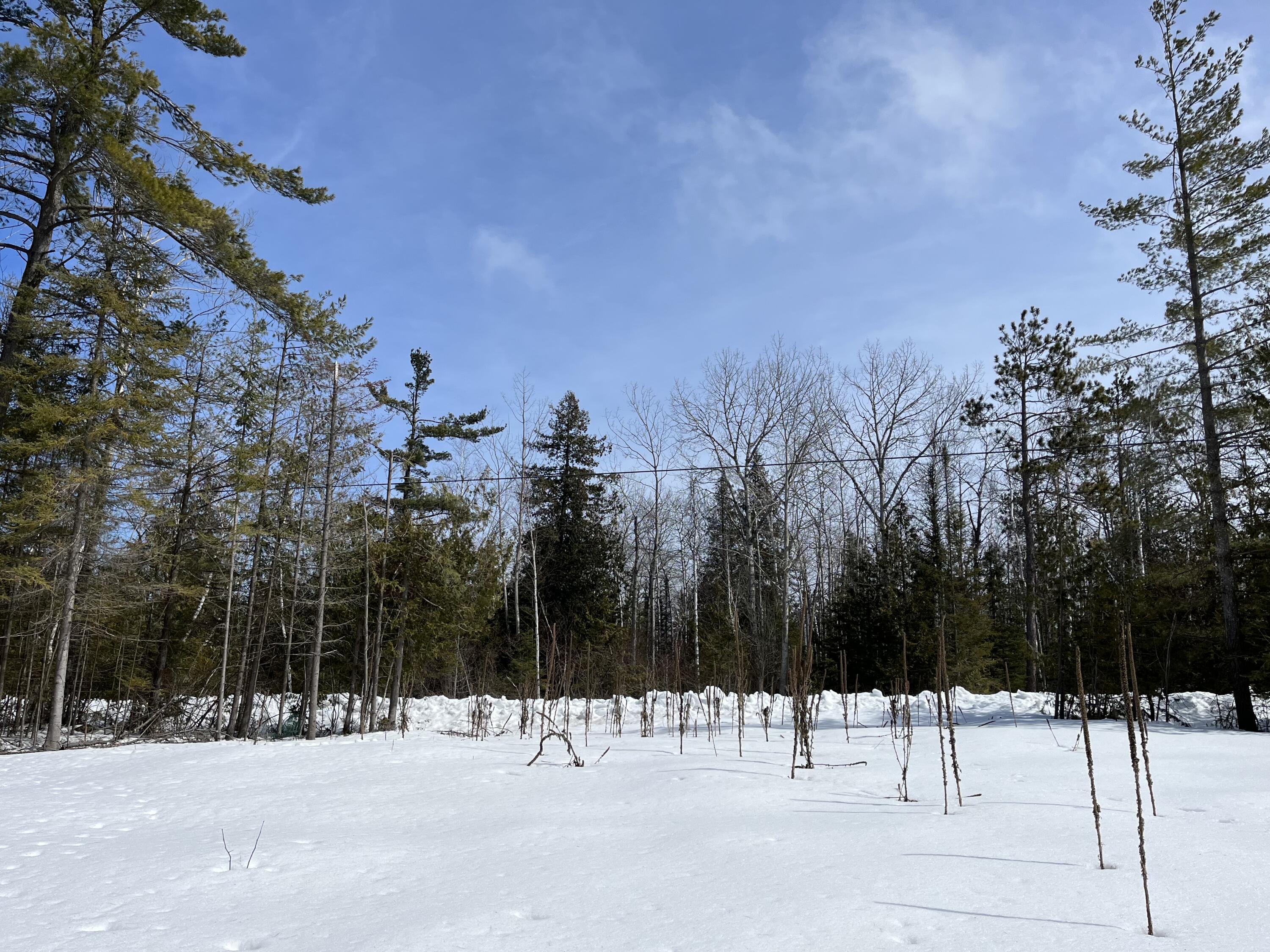 Image 4: IMG_5512