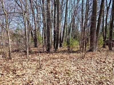 Lots 55-56 E Houghton Lake Drive