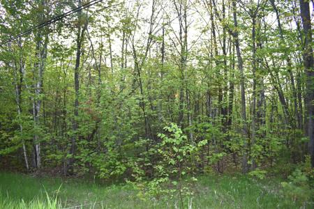 14236 Straitsview Drive