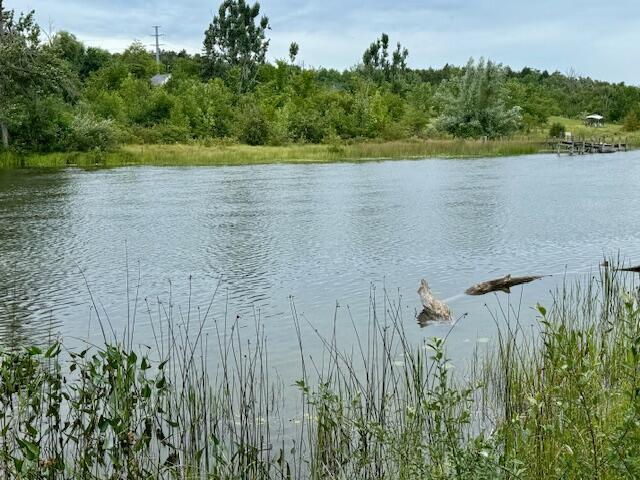 Image 1: Waters Edge