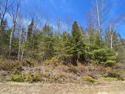 Lot 254 Pineview Drive