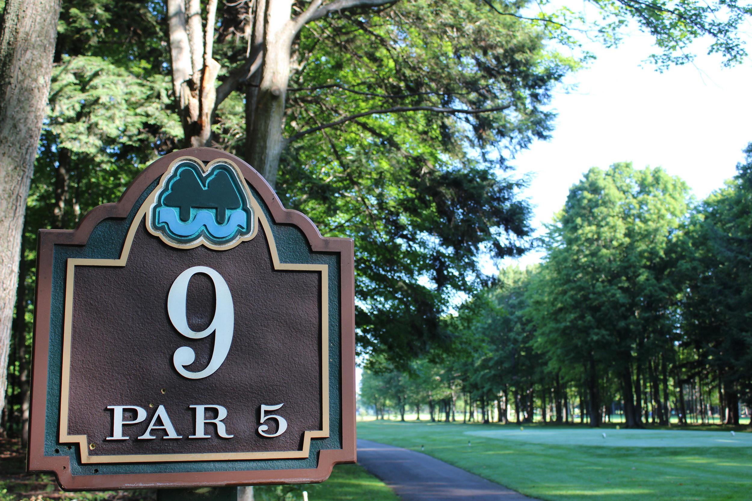 Image 3: Foothills-Trail-6521-03