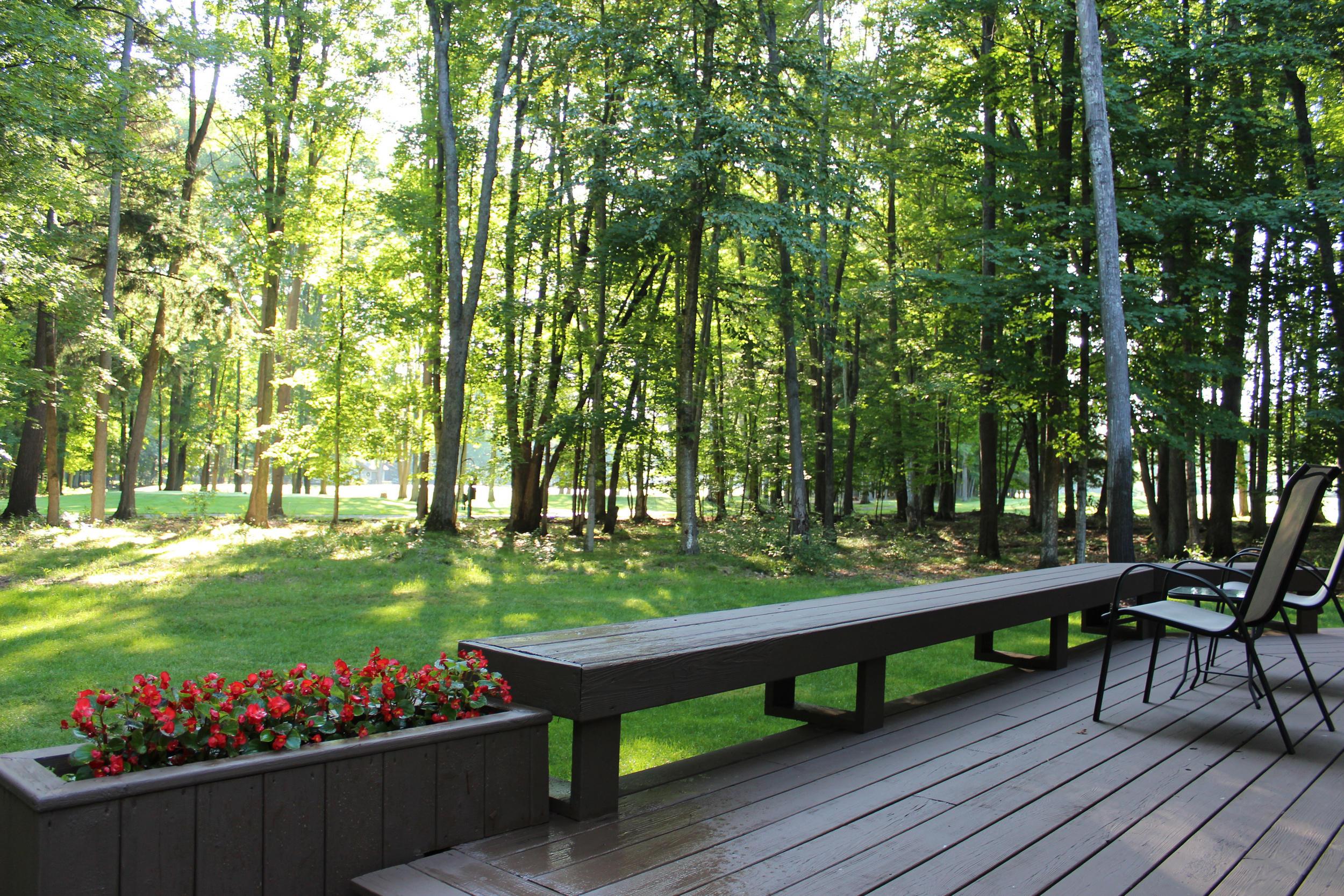 Image 4: Foothills-Trail-6521-04