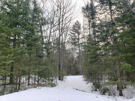 10840 Huron Trail