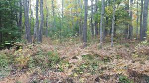 Lot #2 Huckleberry Lane