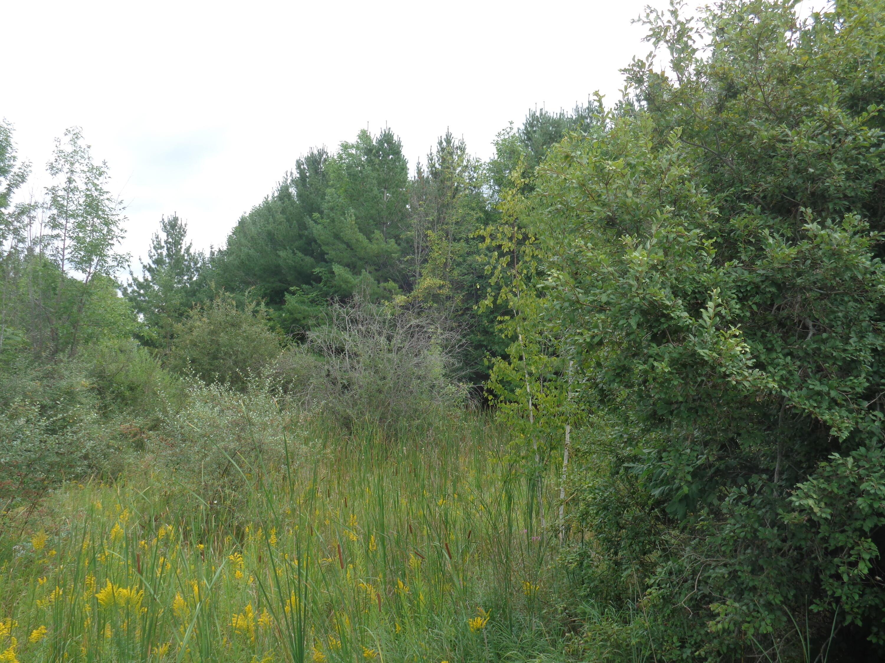 Image 4: DSC07653