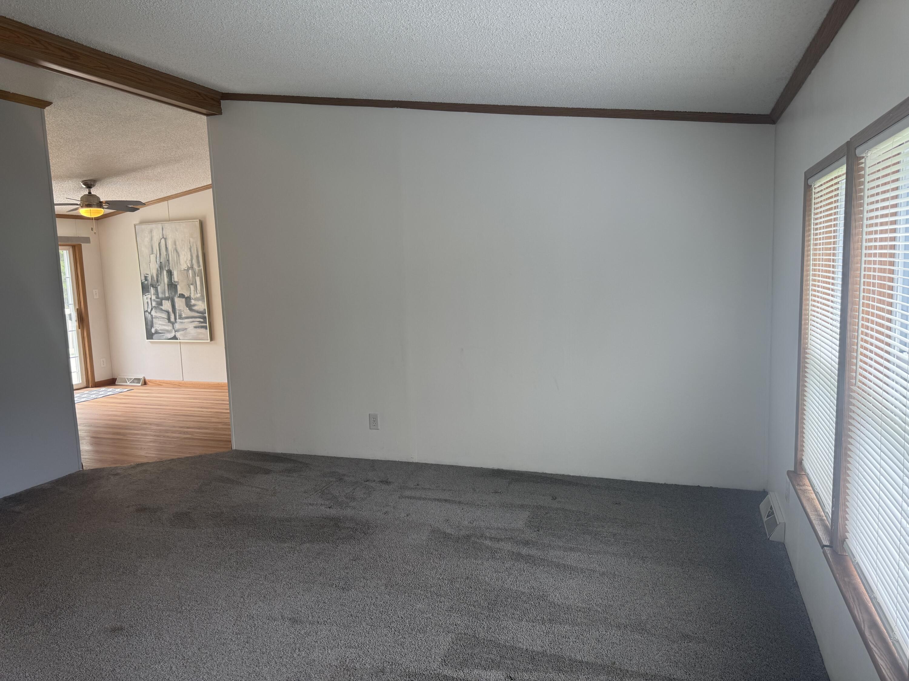 Image 4: IMG_0969