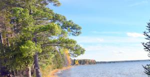 Bluffs Highway