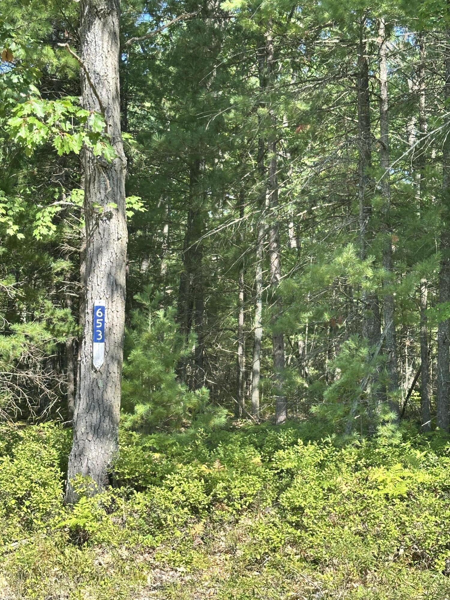 Image 4: IMG_0273