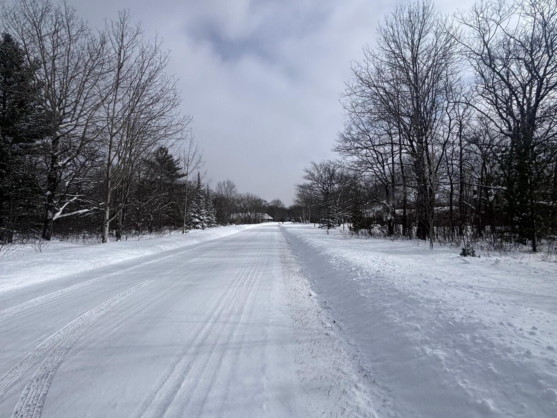 Image 3: Ponerosa Circle North