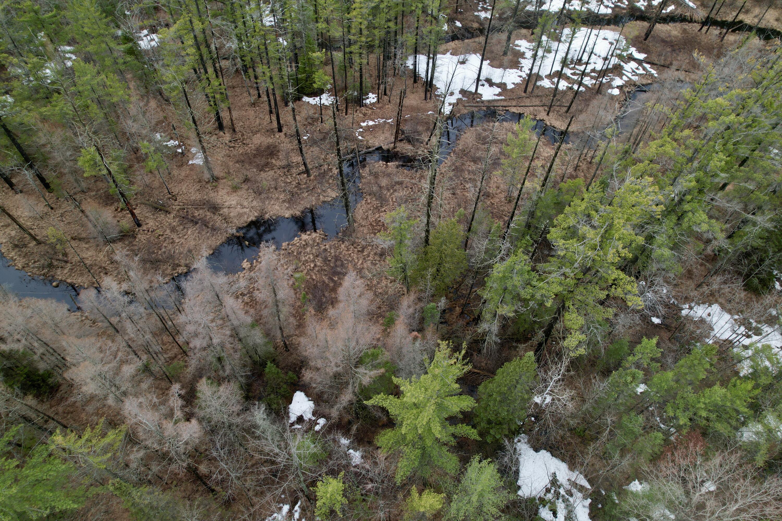 Image 3: water