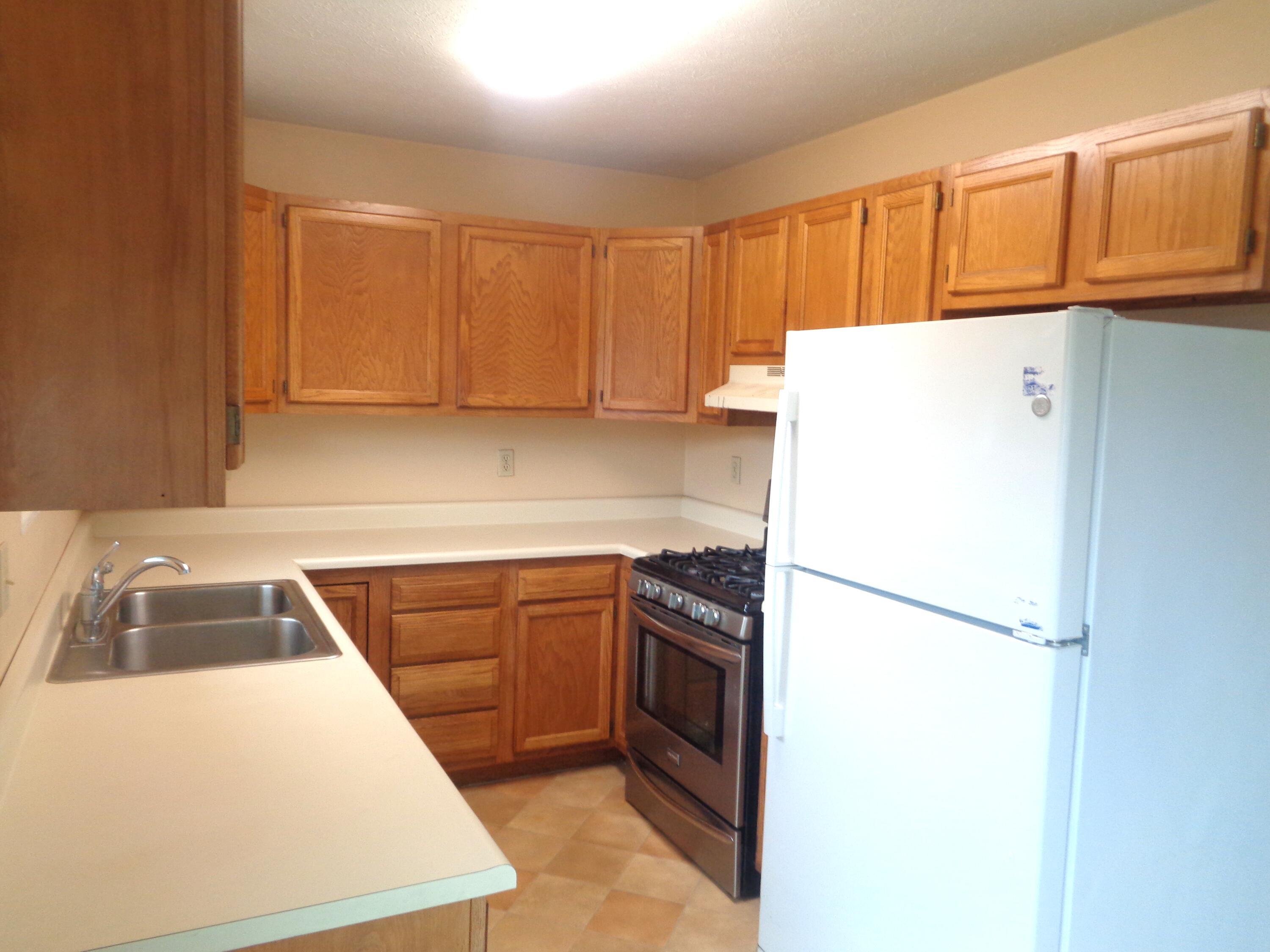 Image 3: DSC08228