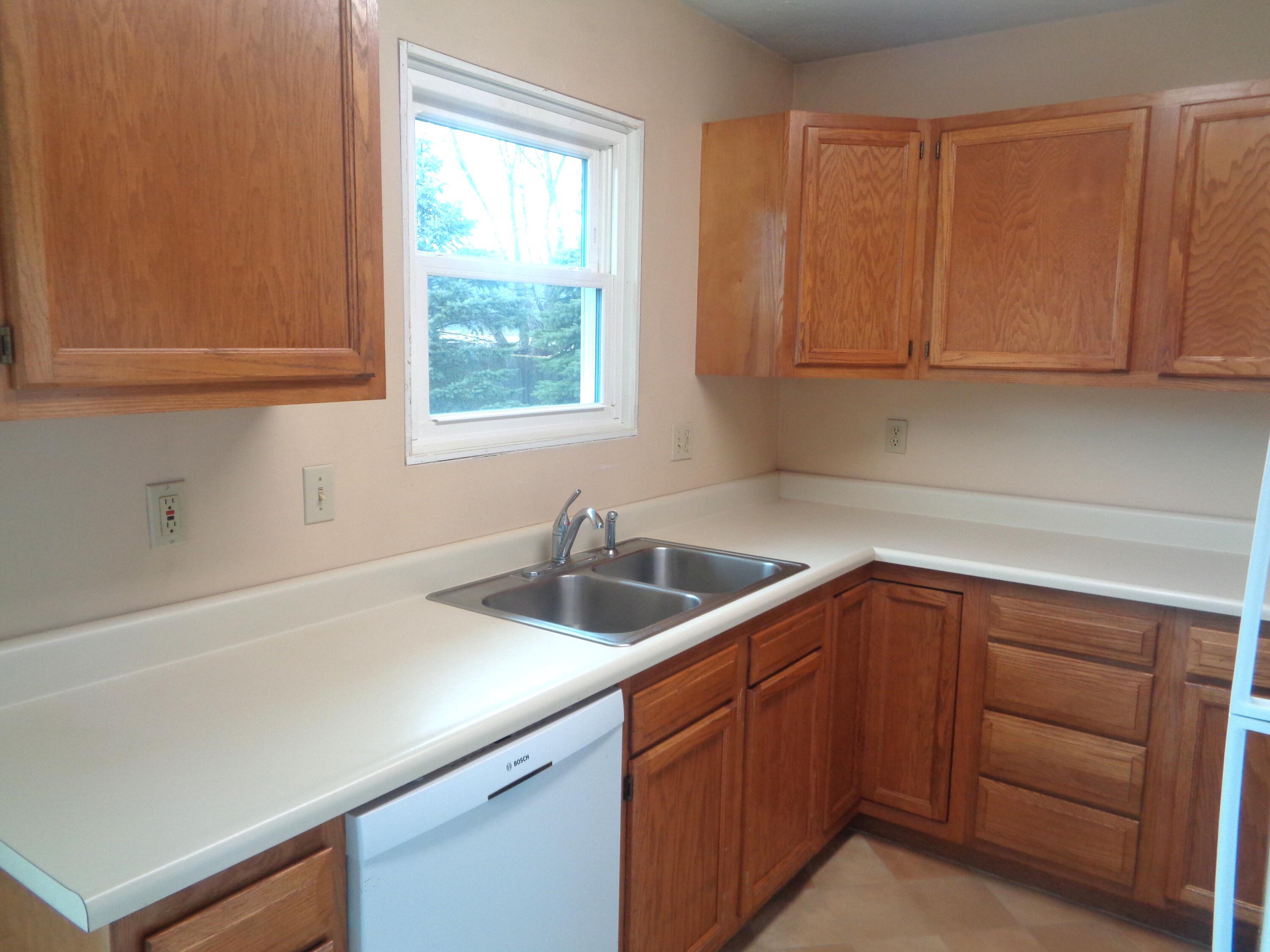 Image 4: DSC08229