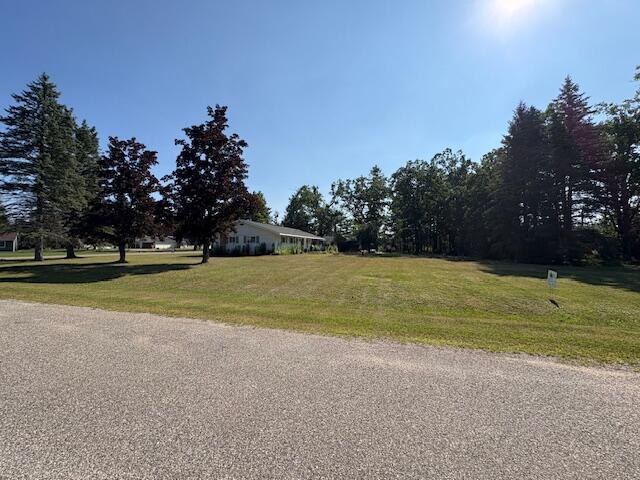 Image 3: IMG_7313 (1)
