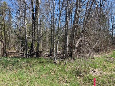 Lot 38 E Houghton Lake Drive