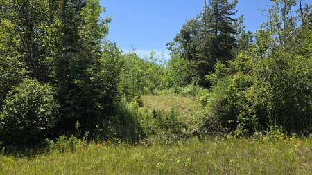3 acres US 23 N