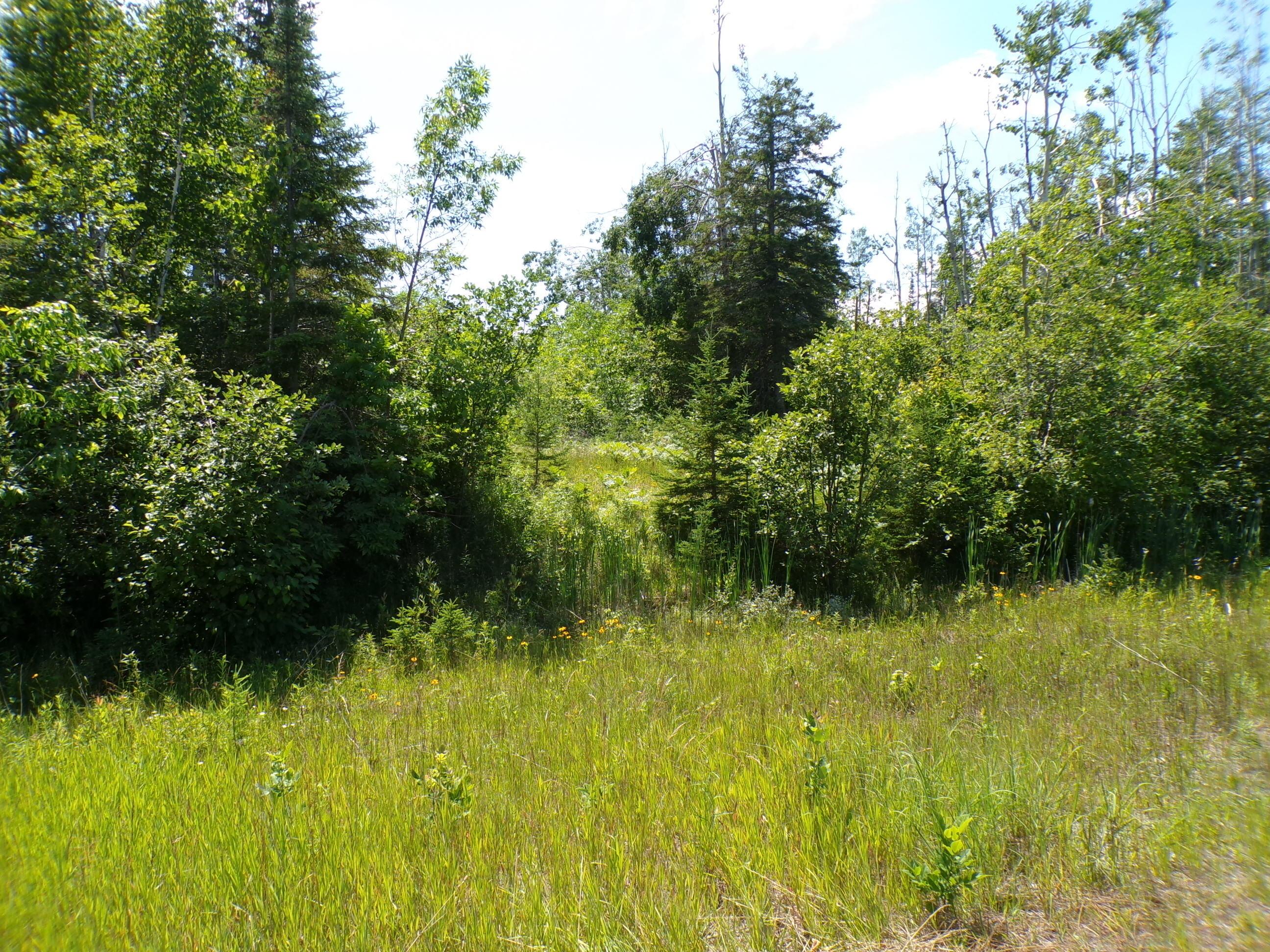 Image 4: 100_1863