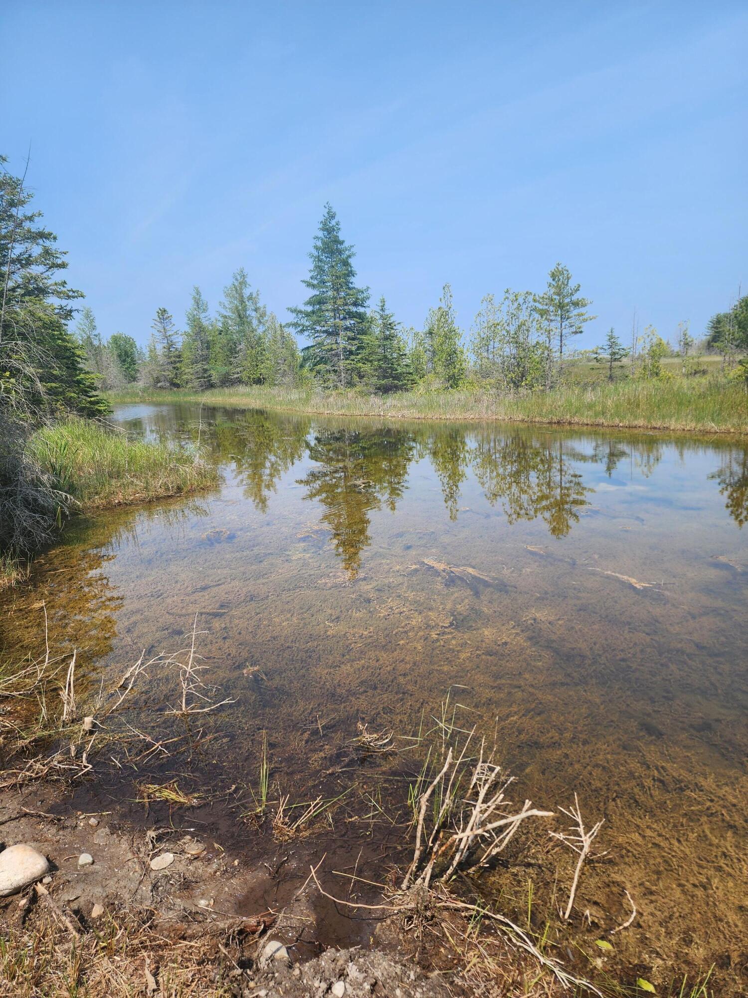 Image 1: 20230624_154727