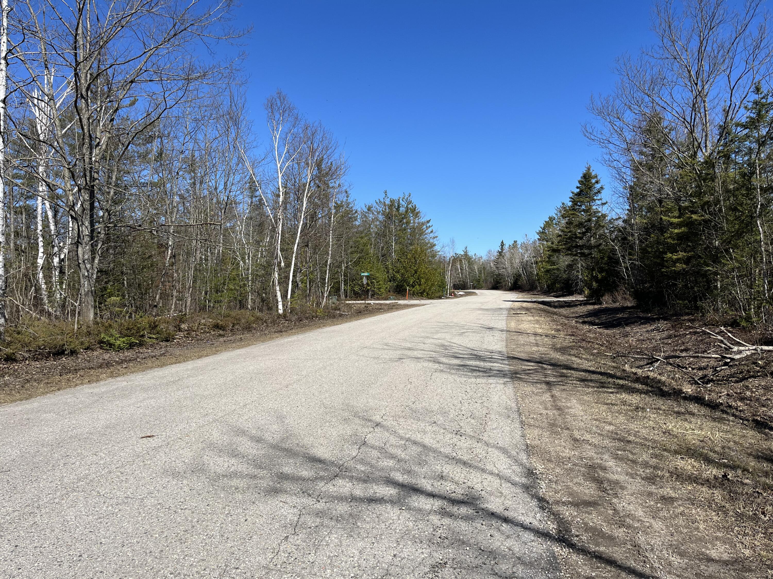 Image 4: Pineview Rd NW View from Lot