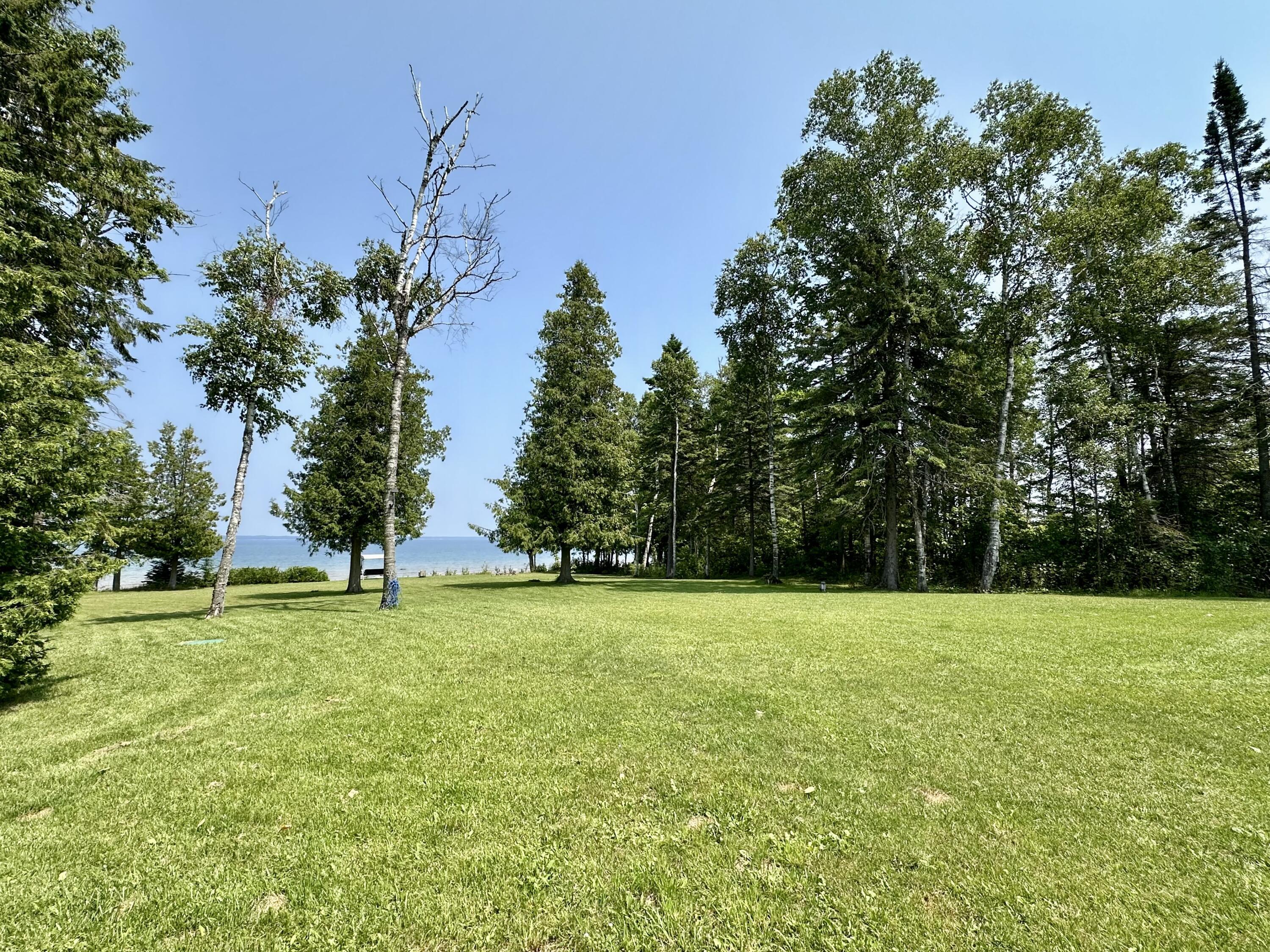 Image 2: Large Yard