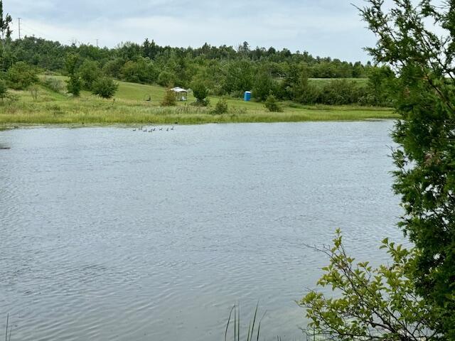Image 1: Downstream 2