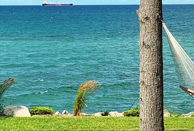 Image 4: Watching the freighter from the hammock