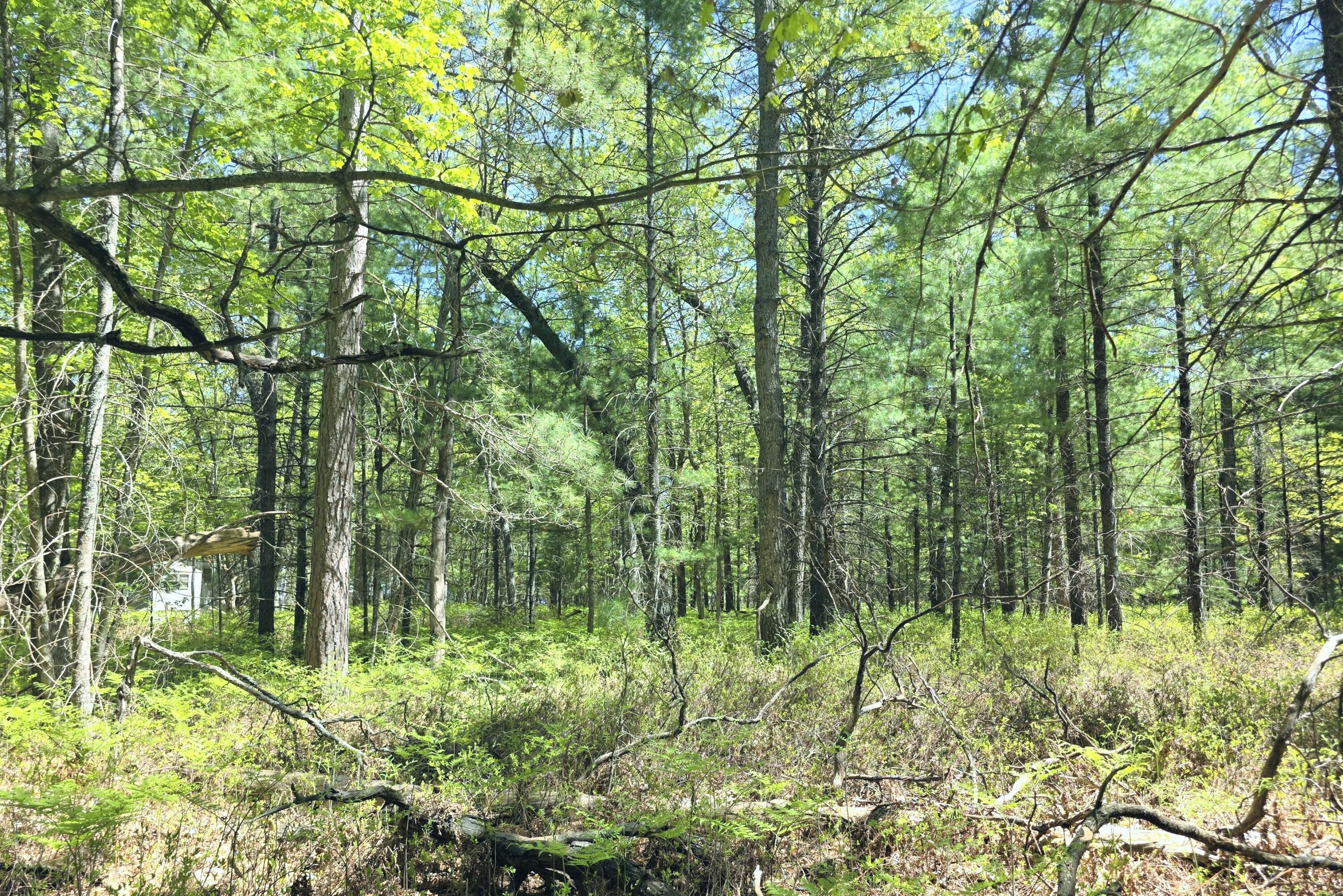 Image 2: 20260531_150159~3