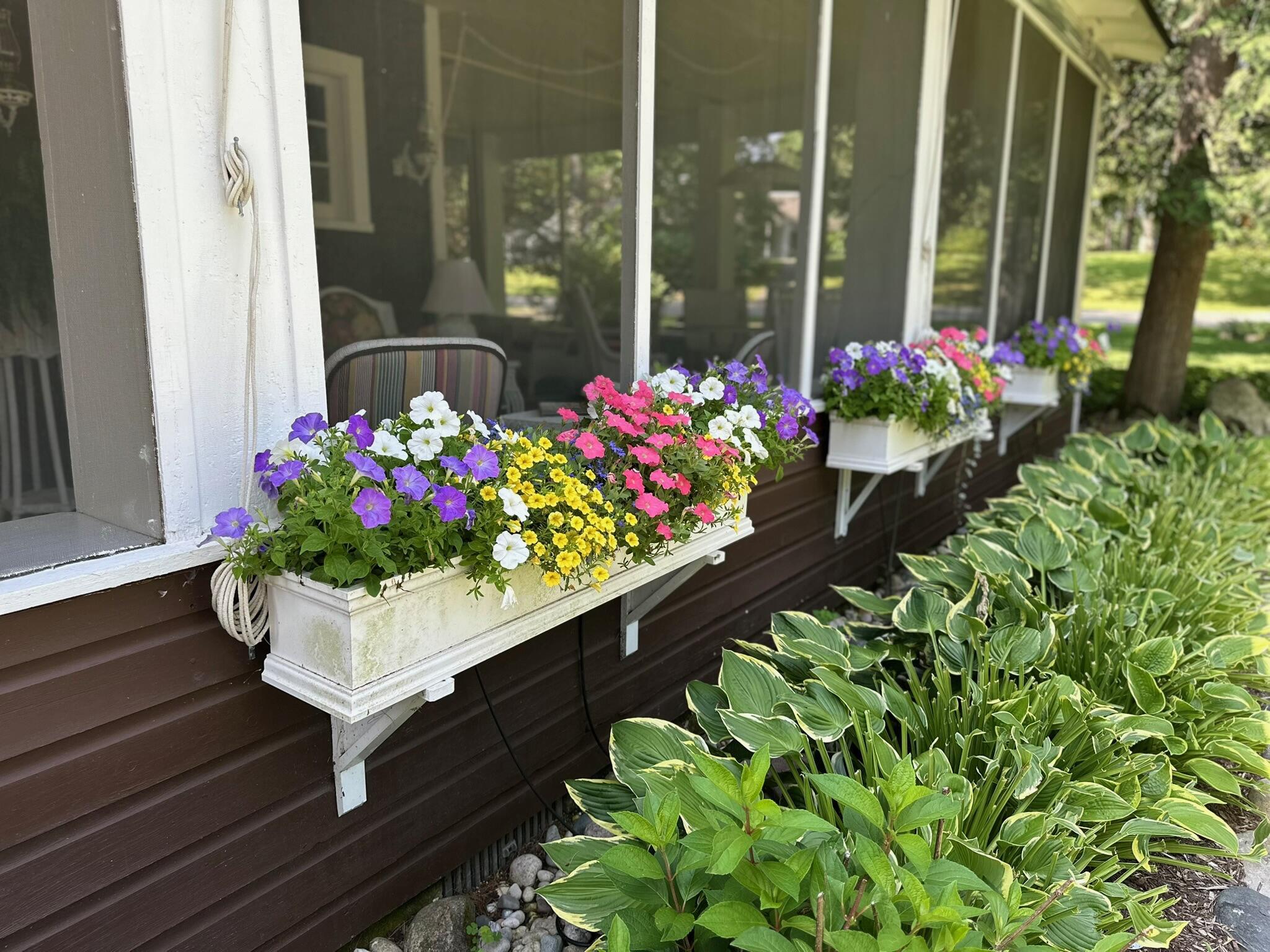 Image 4: Flower Boxes