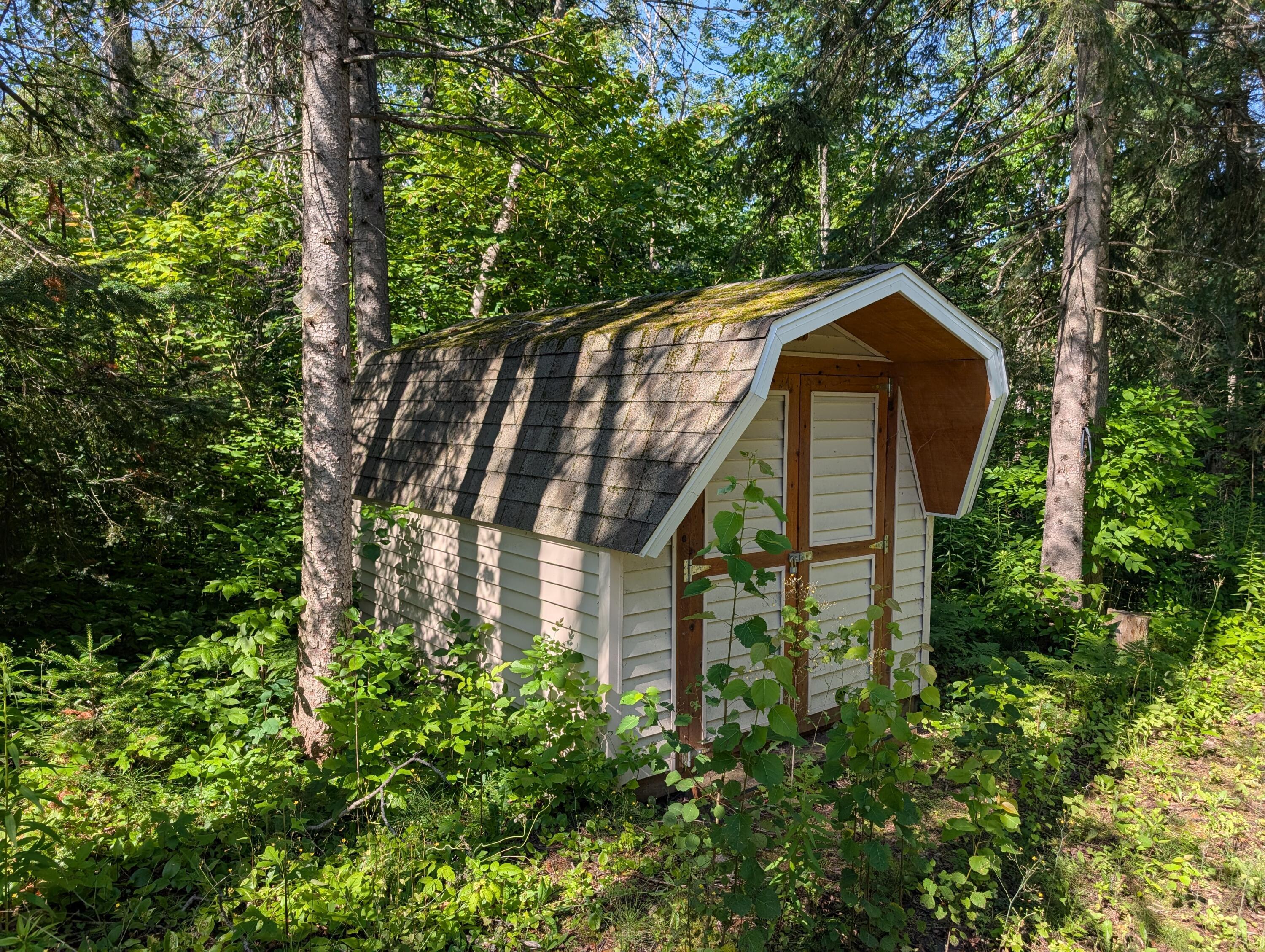 Image 1: PXL_20250721_142652708