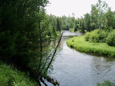 V/L Grouse Trail
