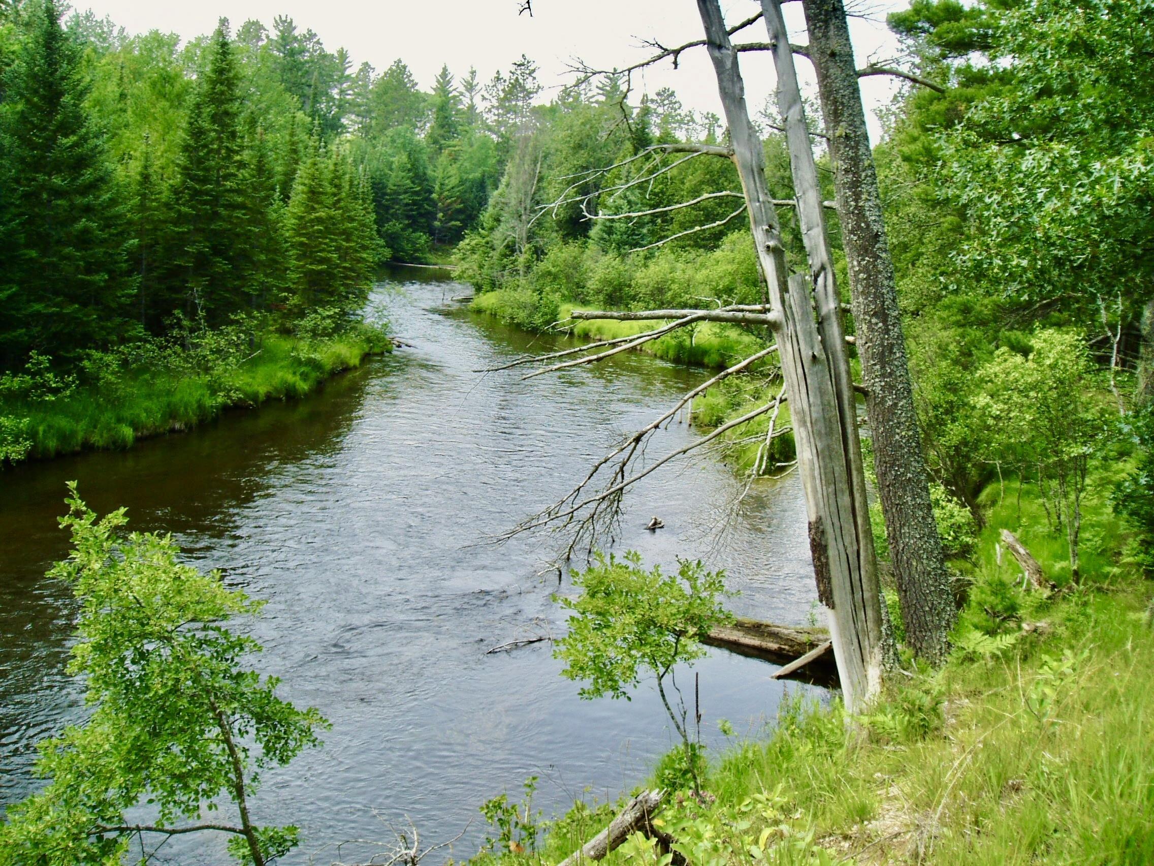Image 2: 42E0F300-6988-4D15-9C26-E84839B9D221