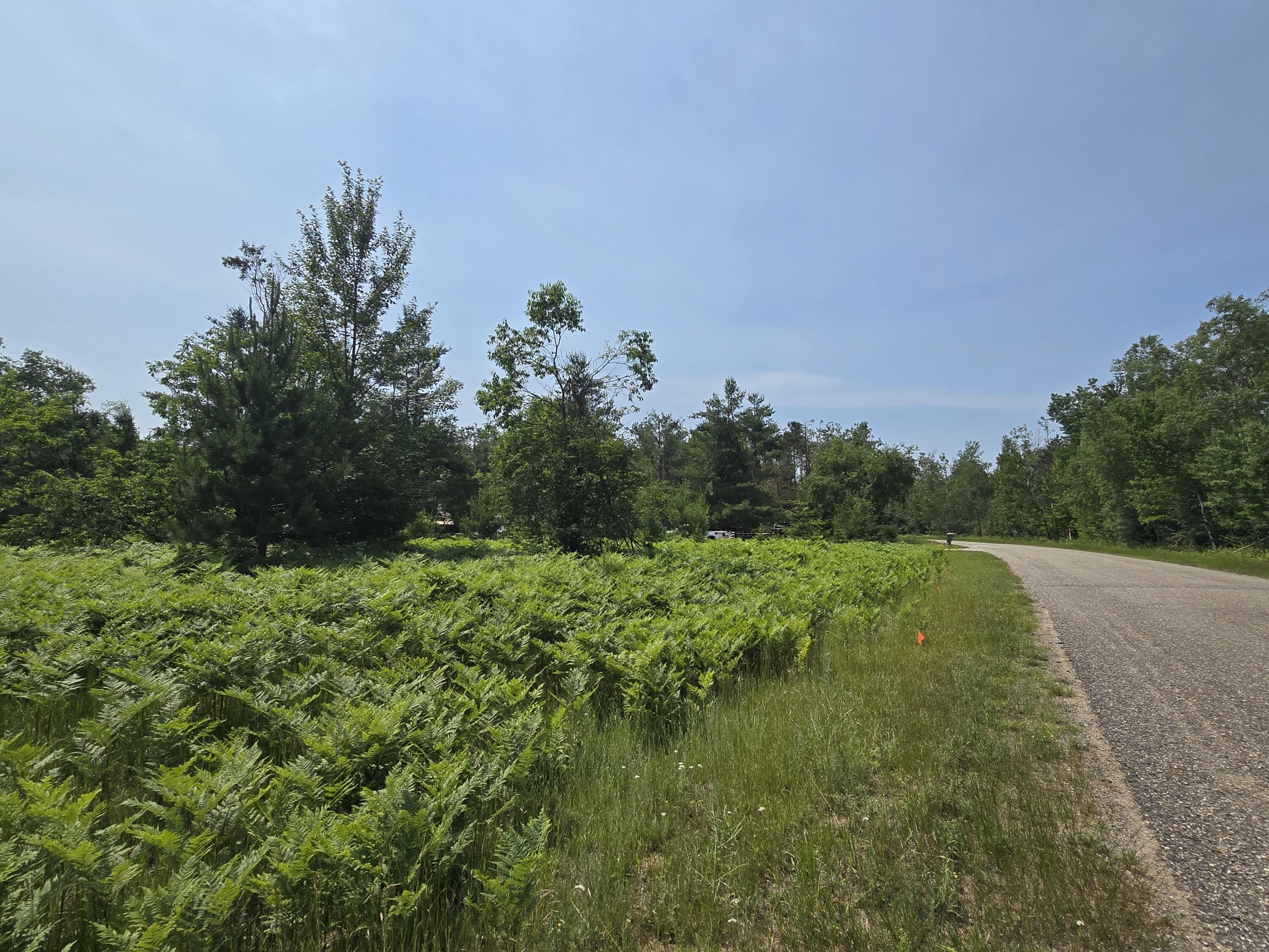 Image 4: Street View 2