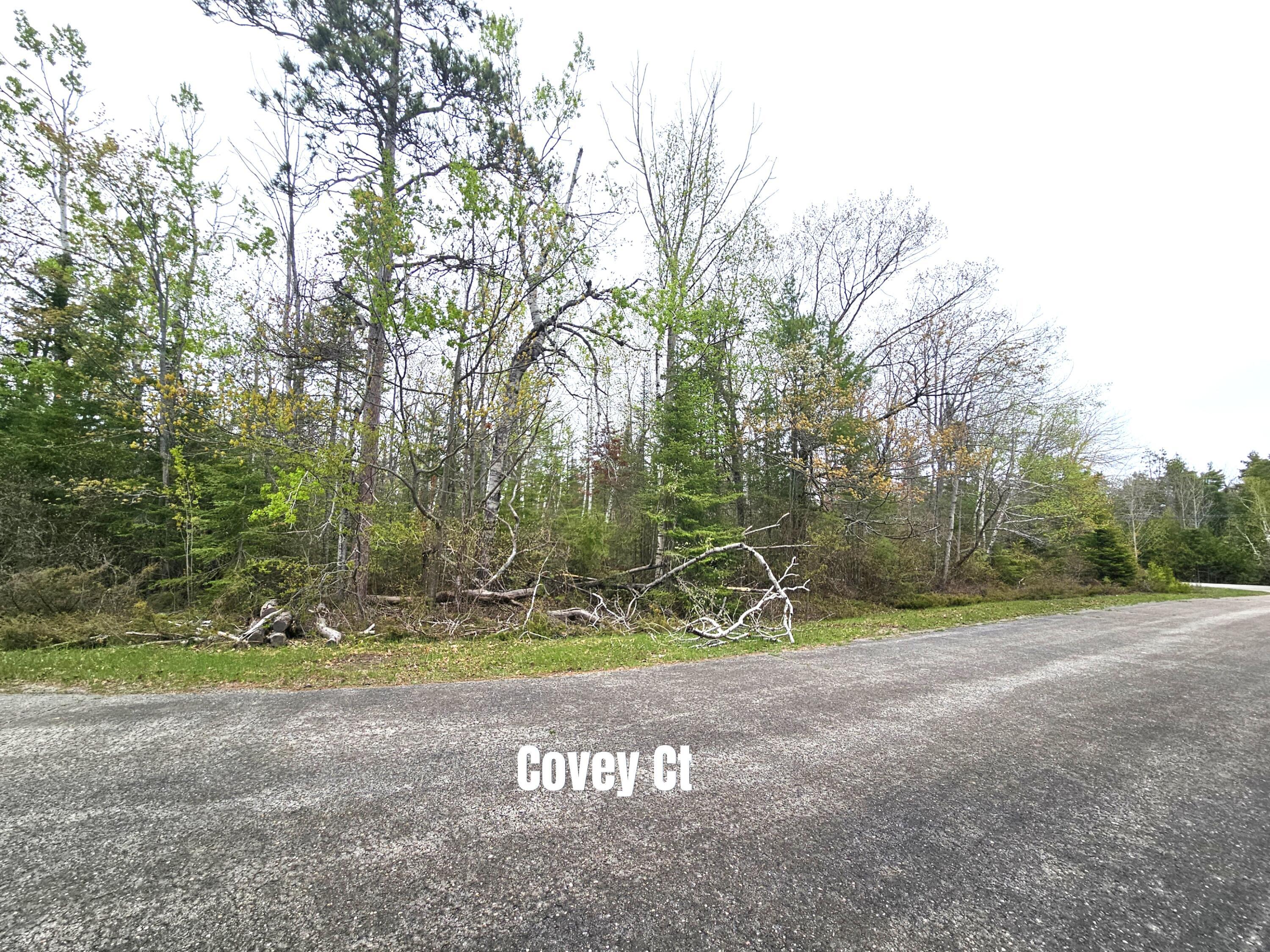 Image 4: Covey Ct