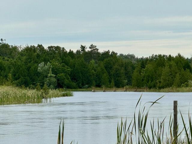 Image 1: Downstream 4