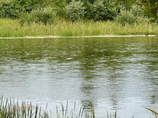Image 4: Across the River 3