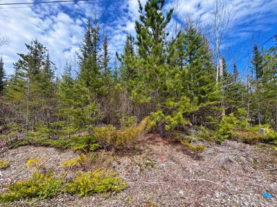 Lot 116 W Norwood Court