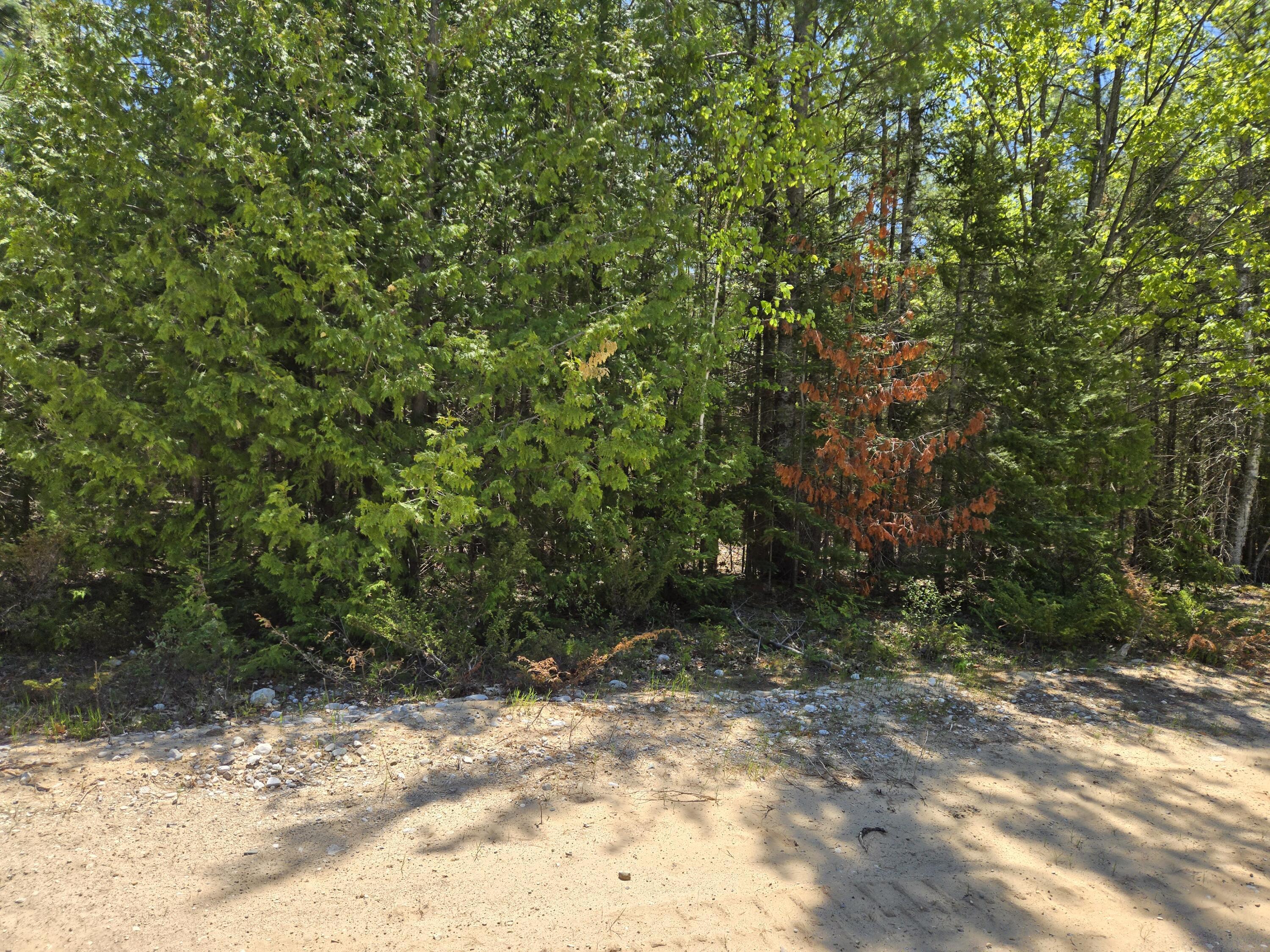 Image 4: 20250531_131624