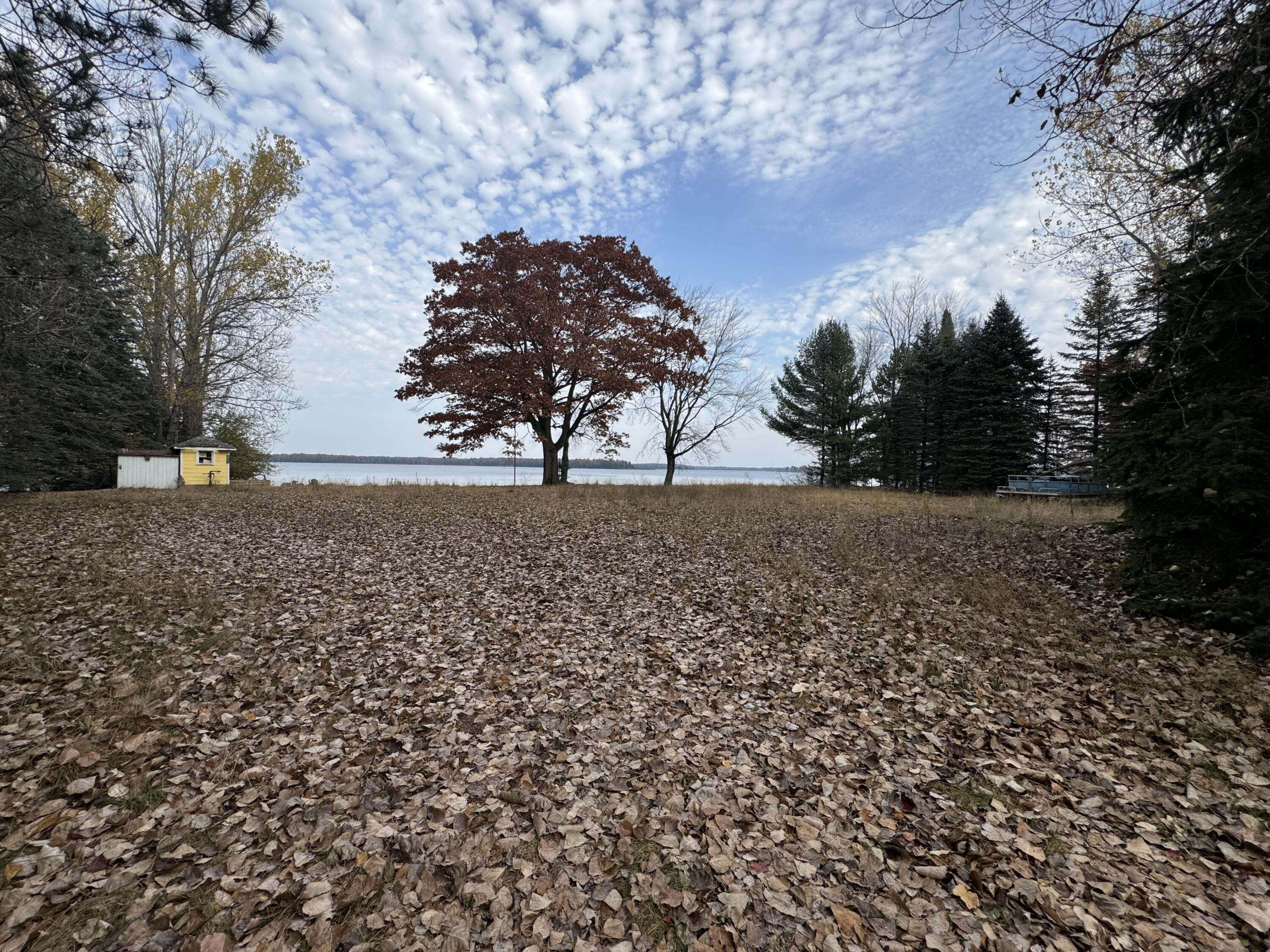Image 3: IMG_1664
