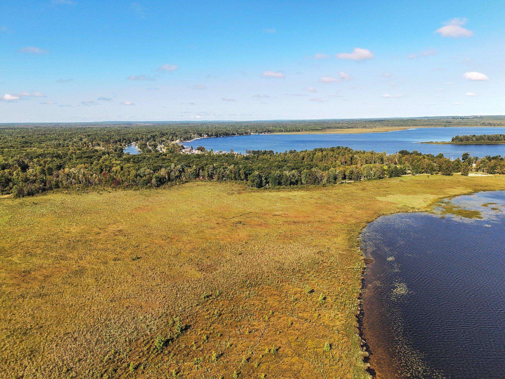 Image 3: 3-web-or-mls-DJI_20230719063433_0085_D
