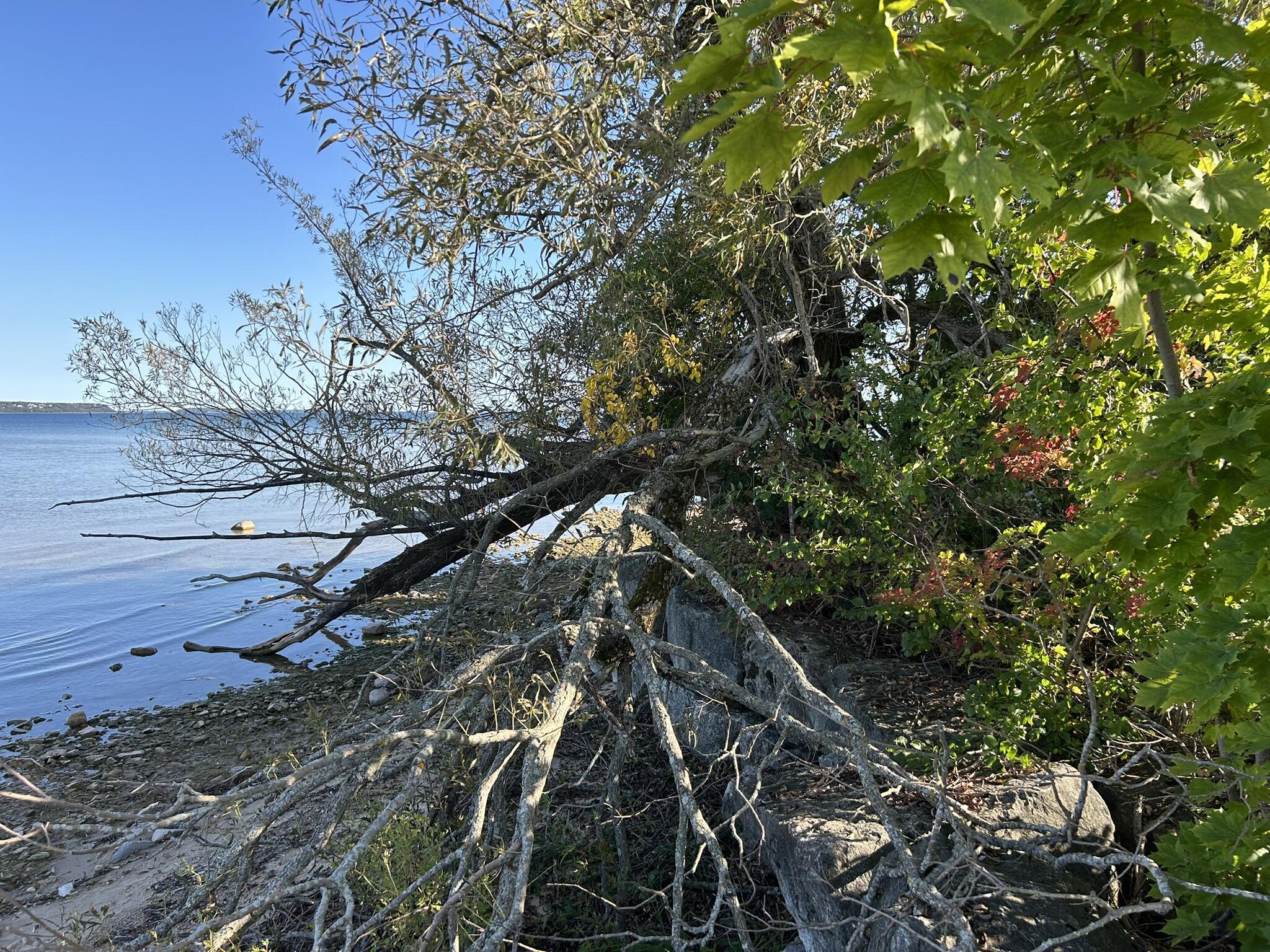 Image 4: Waterfront/Beach