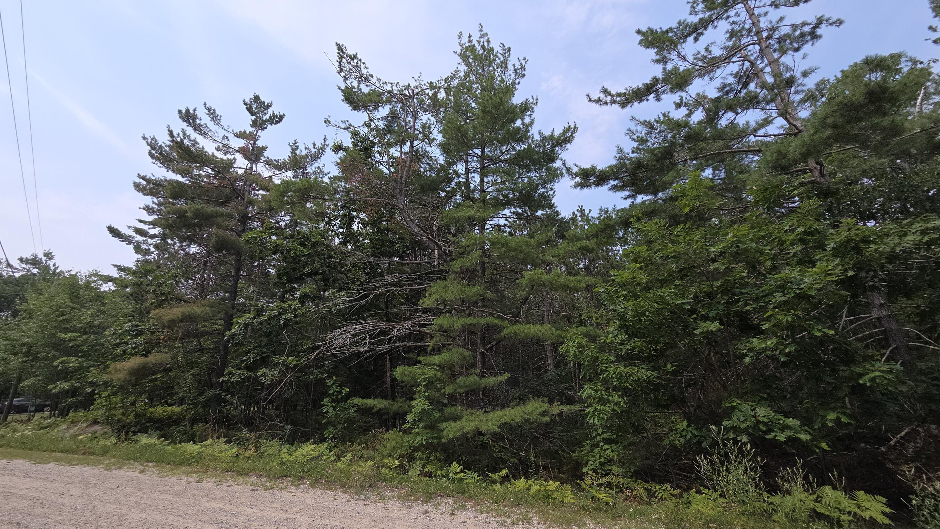 Image 3: 20250804_130020