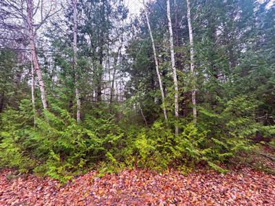 Lot 14 E Grand Lake Road