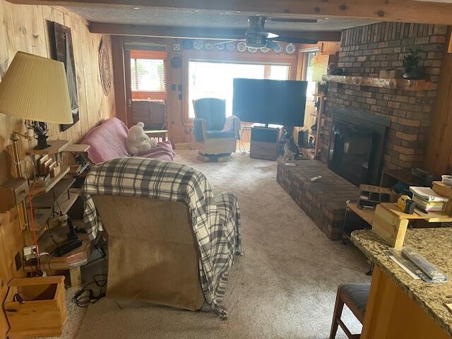 Image 4: IMG_4587 (1)