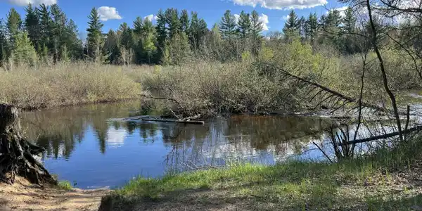 V/L AuSable River Trail